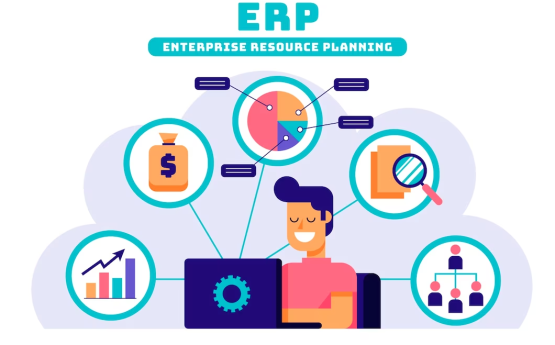 Phát triển phần mềm ERP tùy chỉnh: Tất cả những gì bạn cần biết